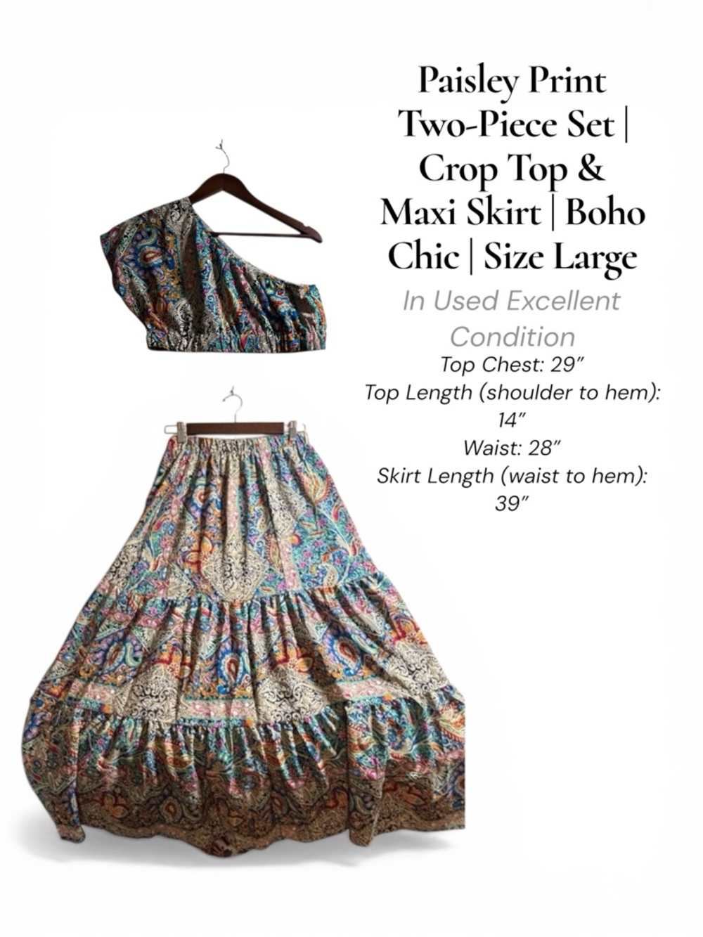 Paisley Print Two-Piece Set | Crop Top & Maxi Skirt | Boho Chic | Size Large